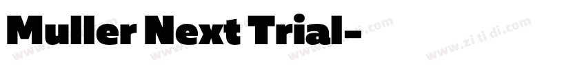 Muller Next Trial字体转换
